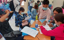 Đề xuất phương án hưu trí cho người lao động trong doanh nghiệp nợ BHXH