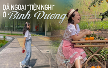 Không hổ danh nhiều thứ “độc lạ” tại Bình Dương, đến các khu tổ hợp vui chơi cũng đa dạng và cực xịn