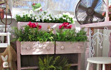 Cách tận dụng tủ và ghế cũ để trang trí khu vườn mùa hè thêm xanh mát