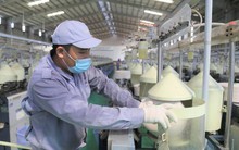 TP HCM: Lao động có trình độ nghề thất nghiệp thấp