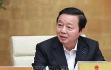 'Không hợp thức hóa những dự án vi phạm' khi xây dựng nghị định về lấn biển