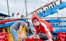 Một đêm ra khơi ngư dân Quảng Ngãi sắm được... 1 chỉ vàng