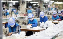 Tăng cường thông tin, kết nối thị trường lao động