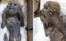 Bí mật về xác ướp “nàng tiên cá” được tôn thờ 300 năm ở Nhật Bản cuối cùng cũng được giải mã: Sự thật vô cùng gây sốc