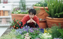 Khu vườn xen kẽ rau và hoa sặc sỡ của chàng trai 9X