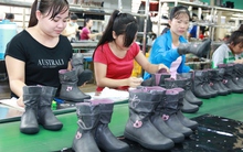 Cập nhật chính sách BHXH, lao động - tiền lương có hiệu lực từ năm 2023