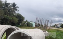 Yêu cầu Kho bạc Nhà nước Cần Thơ báo cáo kết quả giải ngân trước 16h30 hằng ngày