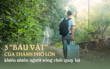 Tại sao nhiều người cầm tiền tỷ về quê chưa bao lâu đã hối hận: Thành phố lớn có 3 "báu vật", không dễ gì nhiều người bỏ qua