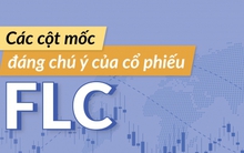 [Infographic] Nhìn lại lịch sử cổ phiếu FLC trước khi lên sàn UPCoM