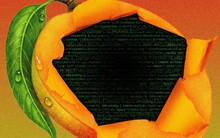 Danh tính người đàn ông ‘khuynh đảo’ cộng đồng DeFi: Biển thủ hơn 100 triệu USD, thao túng giá token, đánh sập 1 sàn giao dịch