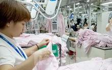 Rà soát, chuẩn bị phương án điều chỉnh lương tối thiểu vùng