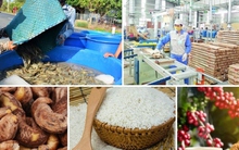 Đẩy mạnh đàm phán các FTA mới, giải pháp quan trọng trong hoạt động xuất khẩu 2023