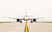 Liên tiếp phát hiện khỉ xâm nhập sân bay Nội Bài