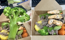 Mua đồ ăn healthy, cô gái nhận được món rau đầy sâu bám chi chít khiến ai xem xong cũng dở khóc dở cười