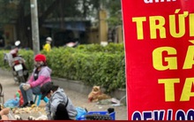 Giải cứu trứng gà: Chiêu trò của các thương lái?