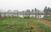 Trái chiều về đề xuất cấp 'sổ đỏ' với đất không giấy tờ sử dụng trước 1/7/2014