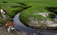 Con sông hẹp nhất thế giới 'lạ' ra sao: Dài 17km nhưng chỉ rộng 4cm ở đoạn hẹp nhất, tồn tại từ 10.000 năm trước