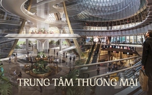 Tại sao nhiều trung tâm thương mại đứng trên bờ vực sụp đổ?