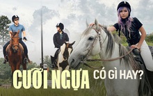 Đến tận nơi xem học cưỡi ngựa: Tốn tiền triệu nhưng vẫn chưa đủ, liệu có quý tộc và thanh cảnh như lời đồn?