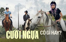 Đến tận nơi xem học cưỡi ngựa: Tốn tiền triệu nhưng vẫn chưa đủ, liệu có quý tộc và thanh cảnh như lời đồn?