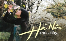 Hà Nội mùa này: Nhìn đâu cũng thấy lãng mạn, trời đẹp chỉ muốn bỏ tất cả mà đi chơi