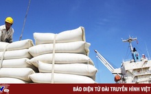 An Giang phát triển bền vững hoạt động xuất nhập khẩu