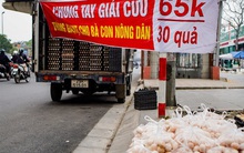Cảnh giác với trứng gia cầm "giải cứu"