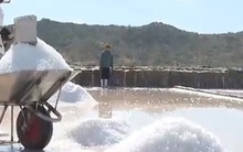 Giá muối cao kỷ lục, diêm dân phấn khởi