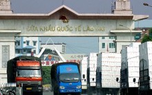 Vượt qua Mỹ, Trung Quốc bất ngờ ‘soán ngôi’ nhập nông sản Việt Nam