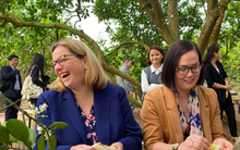 Hai thứ trưởng Mỹ thăm vườn bưởi Hoài Đức