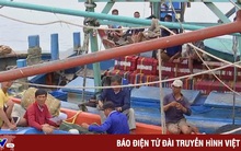 Việt Nam nỗ lực gỡ thẻ vàng thủy sản