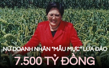 Nữ doanh nhân tưởng mẫu mực hóa siêu lừa: Bỏ túi 7.500 tỷ đồng nhờ đánh trúng 2 đối tượng, hơn 6.000 nạn nhân 'dính bẫy' suốt chục năm