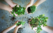 Người trẻ trải nghiệm tái chế túi vải, đồ gỗ, lan tỏa lối sống xanh