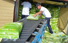 HÓA GIẢI KHÓ KHĂN ĐỂ PHÁT TRIỂN (*): Tận dụng mỏ vàng FTA thế hệ mới