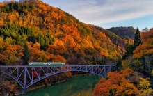 Tuyến đường sắt lãng mạn nhất thế giới 'hồi sinh' nhờ người đàn ông yêu cái đẹp