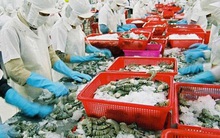 Thêm 23 doanh nghiệp thủy sản được xuất khẩu vào Trung Quốc