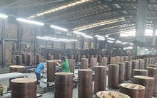 Đồng Nai hỗ trợ người lao động mất việc 1,5 triệu đồng