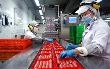 Doanh nghiệp tăng tốc sản xuất đầu năm