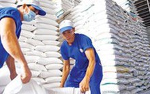 Giá gạo Việt tăng cao nhất trong vòng 2 năm