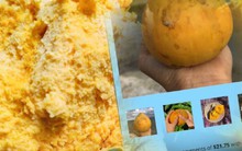 Loại quả ở Việt Nam rụng đầy sân không ai thèm ngó, ở nước ngoài muốn ăn phải mua với giá cả triệu đồng