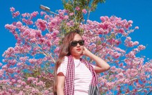 Vượt hơn 70 km đến check in cung đường nhuộm hồng đẹp như phim Hàn ở miền Tây