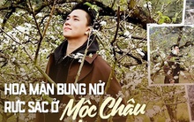 Mộc Châu trở thành điểm siêu hot dịp đầu xuân với những cây hoa mận phủ trắng núi đồi