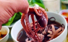 Xuống Hạ Long, qua Xà Cong nếm gỏi ruốc "chân dài"