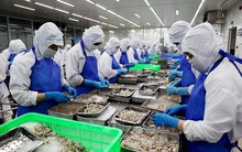 Nhiều dư địa cho hàng Việt Nam sang thị trường Âu-Mỹ