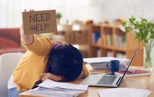 Tăng ca mỗi ngày, 12h đêm vẫn bị sếp réo tên, văn hoá nội bộ chỉ là những lời nịnh hót... nhưng mọi người vẫn khuyên tôi cố chịu đựng vì tầm này nghỉ việc là mất tất cả