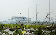 Rác thải bủa vây, khói ám chết cả cây trên đường đua F1