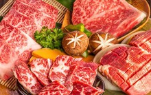 Người Việt chi 160 triệu USD mua bò Úc trong năm 2022