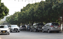 Hà Nội đánh chuyển rặng nhãn trên tuyến phố đi bộ Trịnh Công Sơn