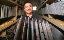 Ngành nghề phải hoạt động 'bí mật' nhưng có lợi nhuận 'trên trời' ở Trung Quốc: Vốn ít lời nhiều khiến người dân và tiểu thương đổ xô mở trang trại