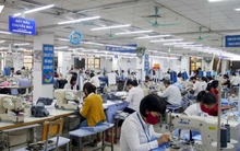 Rút BHXH 1 lần giải quyết nhu cầu trước mắt, người lao động gặp khó khăn khi về già